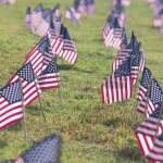 Rows of small american flags on a large grassy lawn